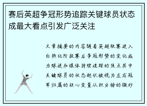 赛后英超争冠形势追踪关键球员状态成最大看点引发广泛关注 赛后英超争冠形势追踪关键球员状态成最大看点引发广泛关注